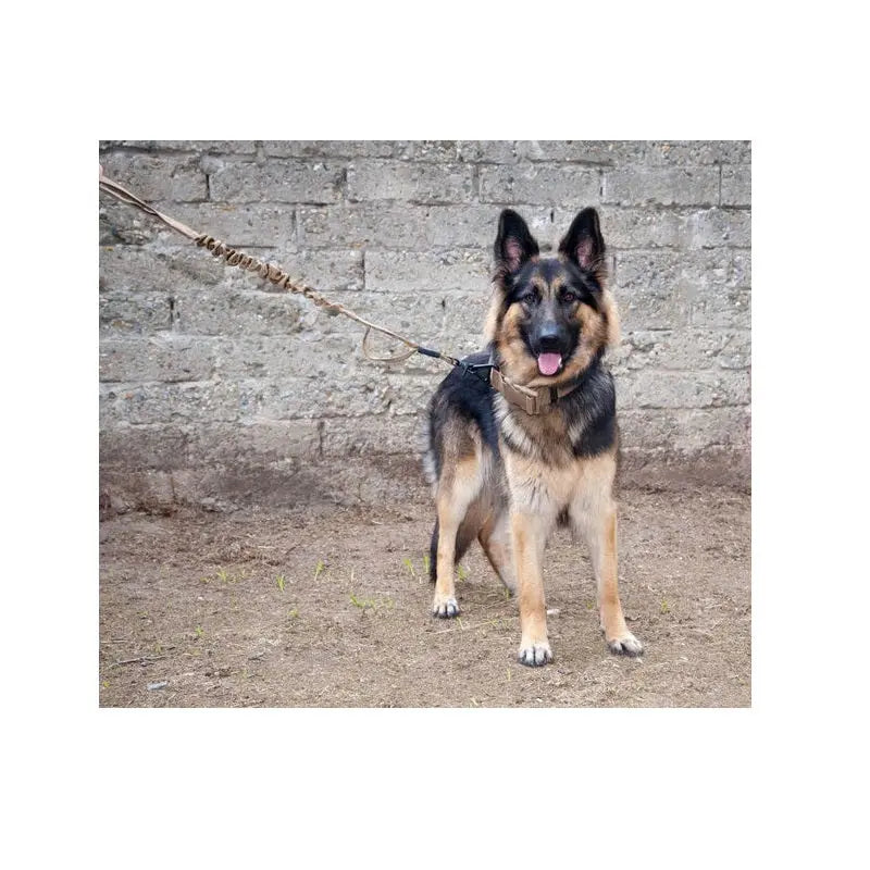 K9 Bungee Leash NSO Gear Dog vest